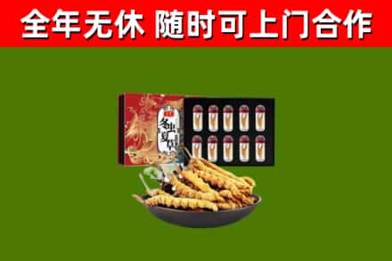 哈尔滨烟酒回收冬虫夏草礼盒.jpg